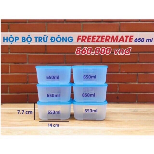 Bộ Hộp Trữ Đông Tupperware Freezermate 650ml (6 Hộp)