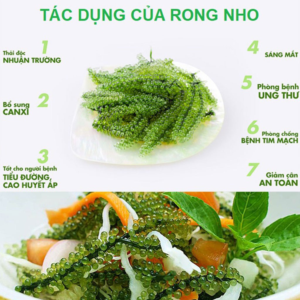 Rong nho tách nước Khánh Hòa ❤ freeship ❤ rong biển gói 100g nở ra 450g, rong nho tươi kèm sốt mè rang tốt cho tim mạch | BigBuy360 - bigbuy360.vn