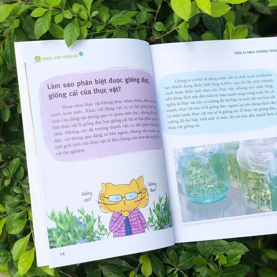 SÁCH - Bách khoa tri thức dành cho trẻ em :Tiến sĩ Mèo thông thái 58K