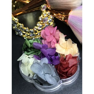 hoa khô tú cầu cánh to