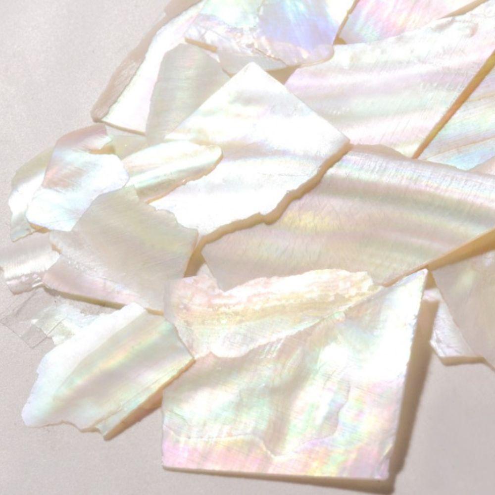 Phụ Kiện Trang Trí Móng Tay Hình Vỏ Sò Lấp Lánh Xinh Xắn DIY