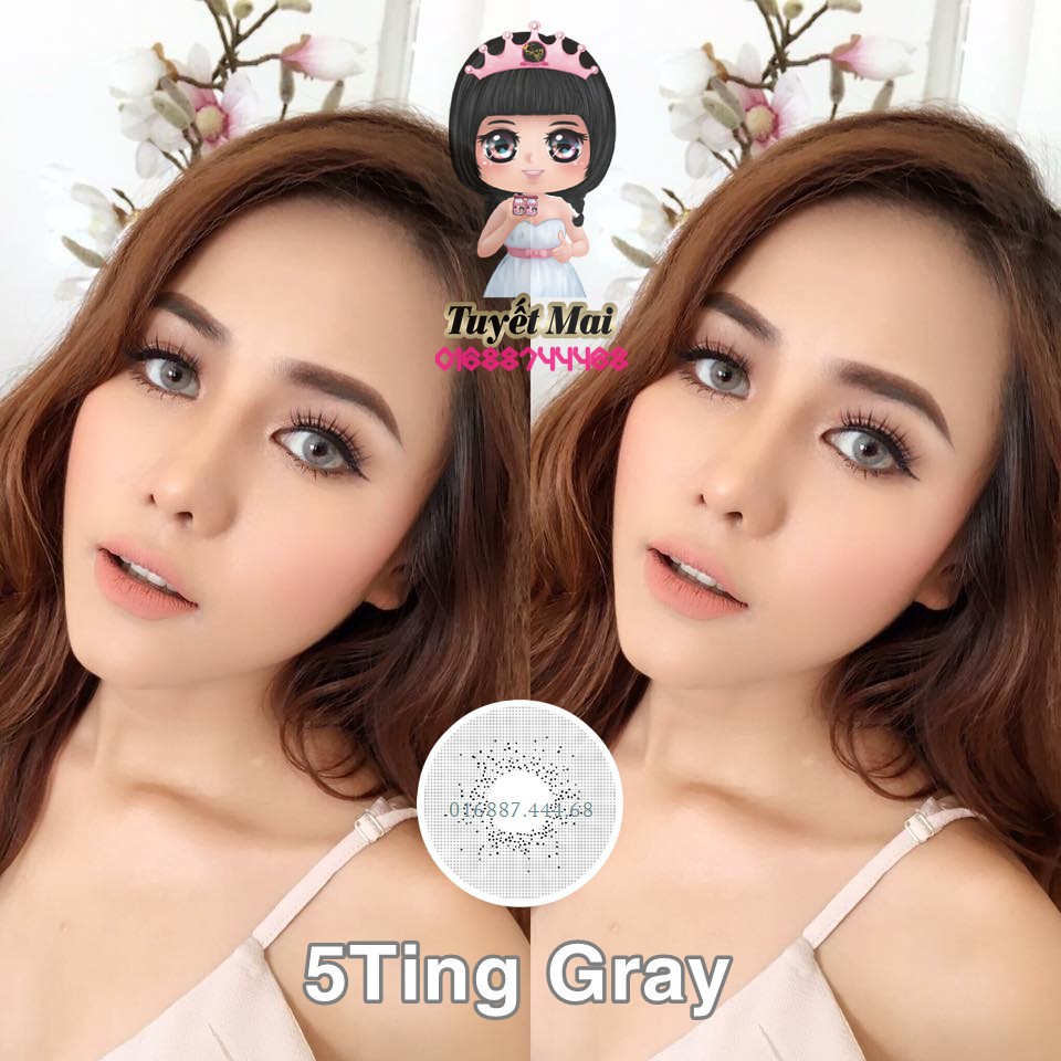 [Bán Giá Gốc] Lens Xám Tây 5ting Gray 14mm 0 Độ - Kính Áp Tròng Vassen Hàn Quốc