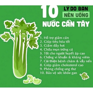 Bột cần tây sấy lạnh