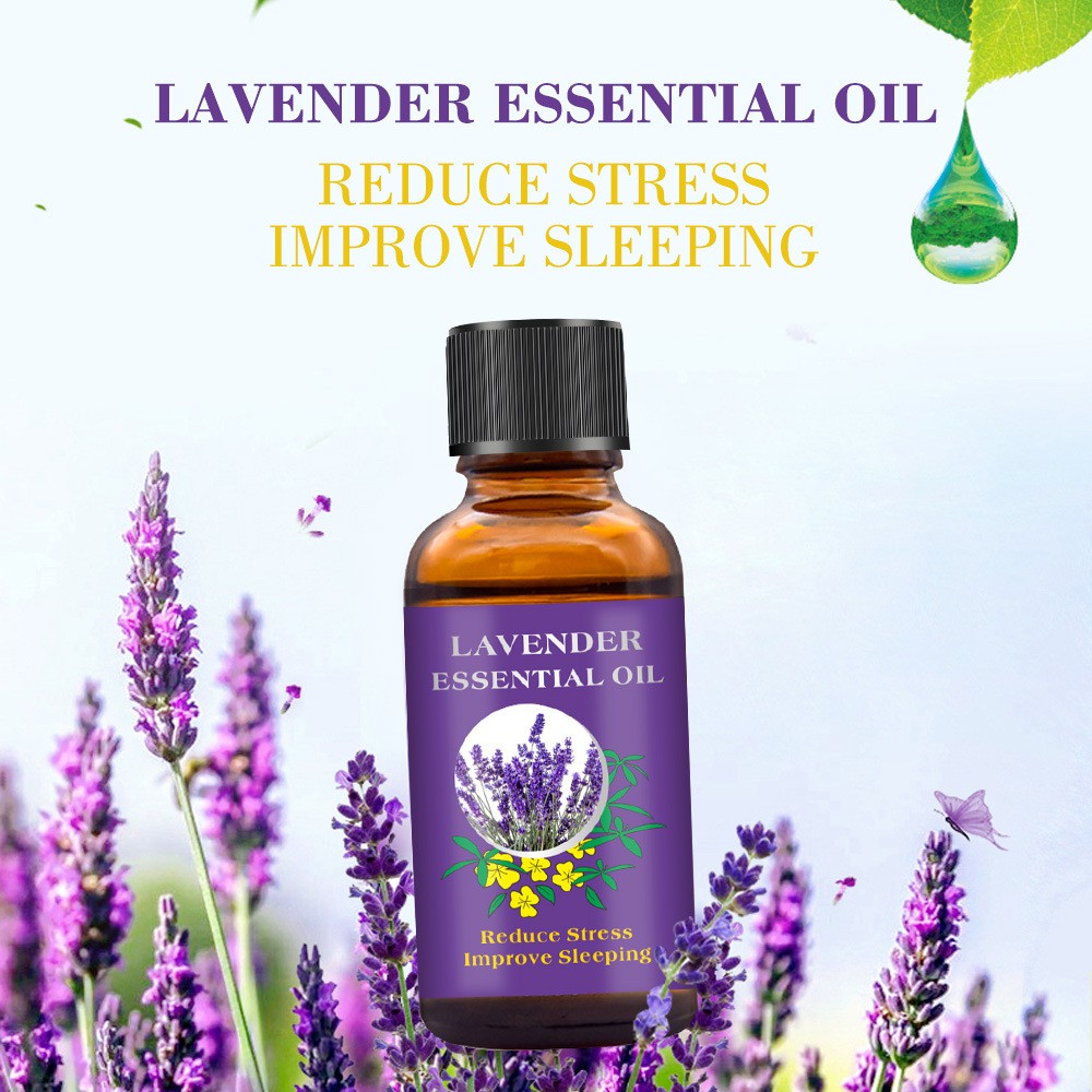 Tinh Dầu Oải Hương Lavender Cibee 30ml