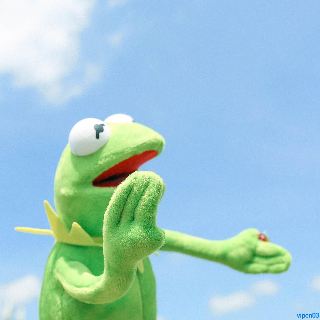 Búp bê bằng bông hình nhân vật chú ếch Kermit trong hoạt hình Sesame Street