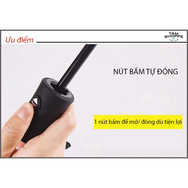 Ô trong suốt gấp được TAN