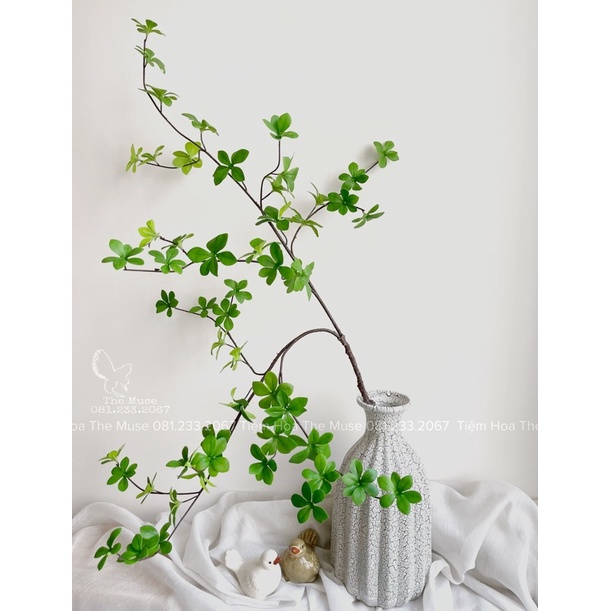 Bình Thạch Nam Cắm Sẵn ( Cả Bình và Thạch Nam) Giao Hàng Hoả Tốc Khu Vực Hà Nội