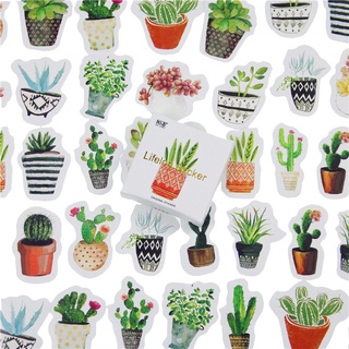 Set 45 sticker dán trang trí hình cây xương rồng