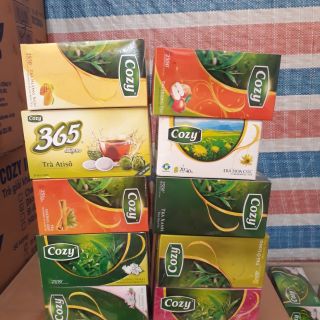 Trà cozy túi nhúng hương sen/nhài/trà xanh 50gr