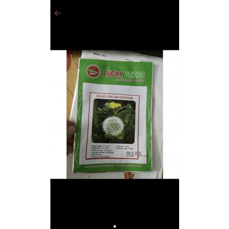 Hạt giống hoa Bồ Công Anh