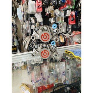 heo adelin phay brembo 2 pis