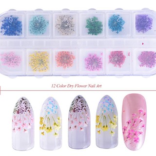 SET HOA KHÔ CHÙM 12 MÀU