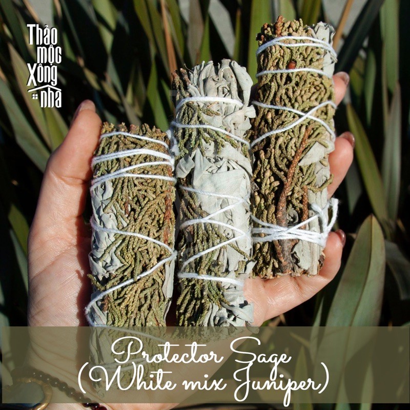 XÔ BẢO VỆ thanh tẩy nhà cửa, bản thân, khôi phục sự cân bằng (White sage mix Juniper) - THẢO MỘC XÔNG NHÀ