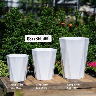 chậu trồng cây bằng nhựa cứng màu trắng, dày dặn, chịu được thời tiết, có in hoa văn đẹp mắt, trồng cây cảnh, cây hoa