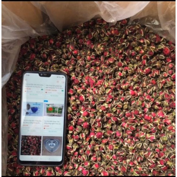 500gr nụ hoa hồng khô tây tạng hàng loại 1 NHHTT01