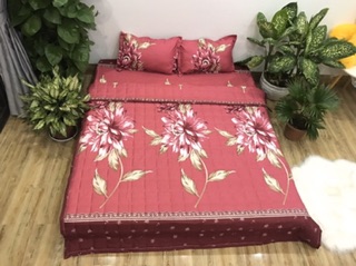 Bộ chăn ga 5 món