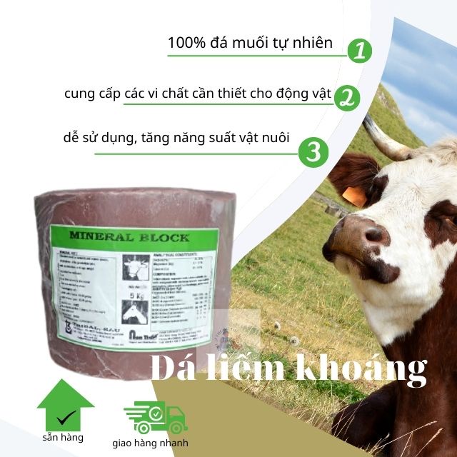 Đá Liếm Mineral Block Viên 5kg - Bổ Sung Khoáng Chất, Vitamin, muối.... Nhập Tây Ban Nha
