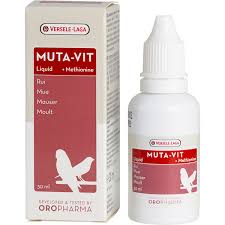 Muta vit bổ sung vitamin cho chim, giúp chim thay lông nhanh, sản xuất tại Bỉ. 10ml/130k
