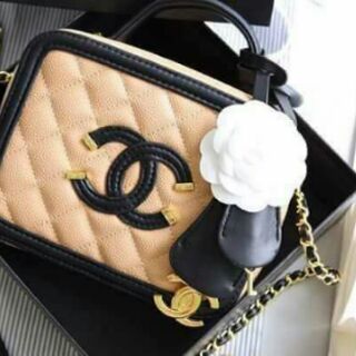 Chanel case
