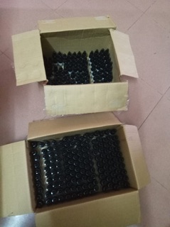 Diệt gián kiến sinh học Anbio