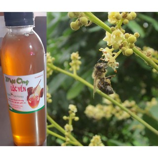 1lit Mật ong hoa nhãn nguyên chất loại ngon chuẩn Tây Nguyên