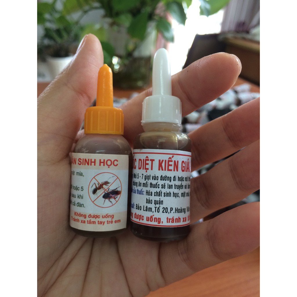 Thuốc diệt Kiến Gián tận gốc sinh học