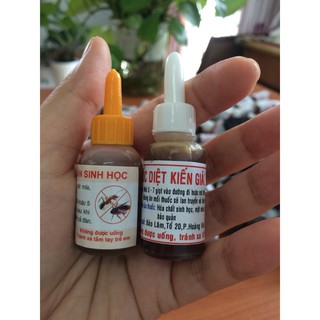Thuốc diệt Kiến Gián tận gốc sinh học
