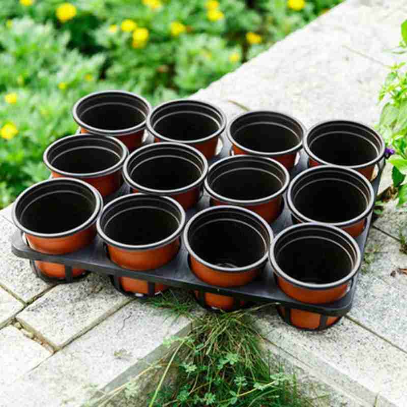 Hộp Nhựa Trồng Cây Mầm Chống Rơi F8B2