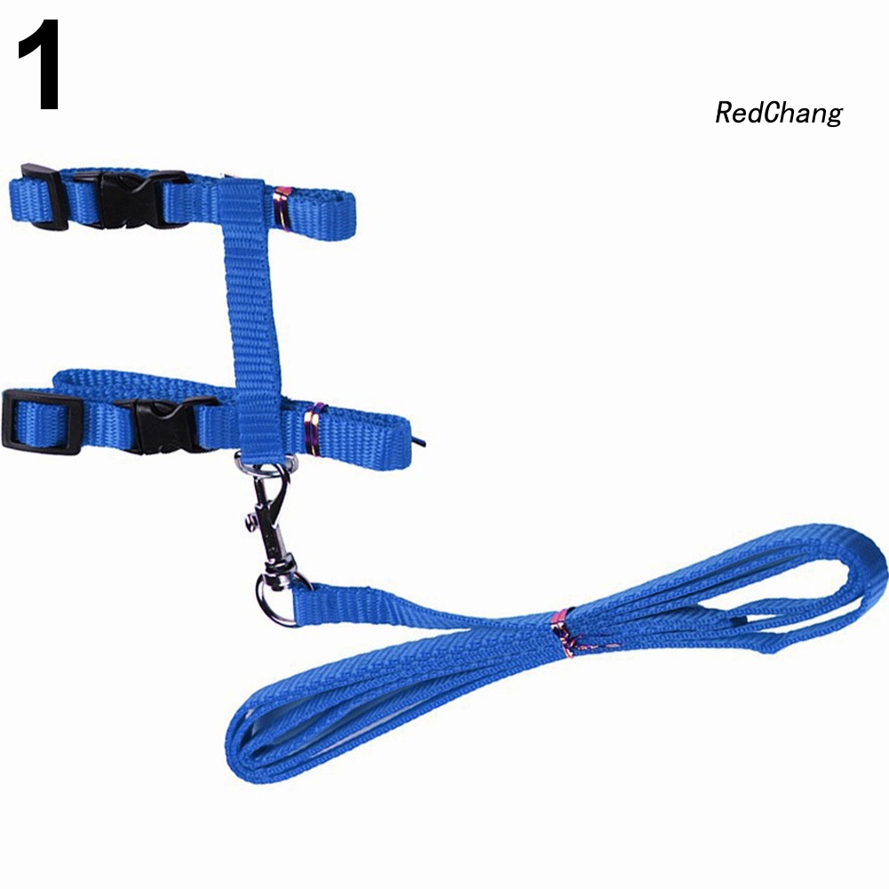 Dây Dắt Thú Cưng Đi Dạo Mềm Mại