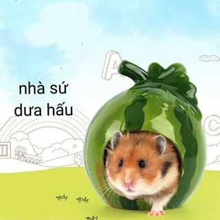 Nhà sứ dưa hấu cho hamster