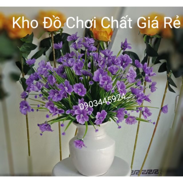 Hoa Giả - Hoa Thủy Tiên Mẫu Mới