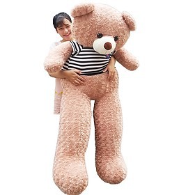 (Ảnh thật kèm video ) Gấu bông teddy Khổ vải 1m8 cao 1m6 màu vani hàng cao cấp