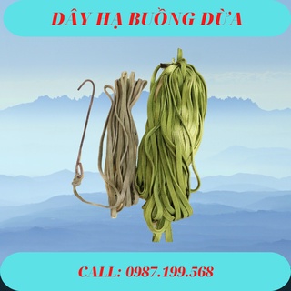 Dây dù xanh, dây hạ buồng dừa