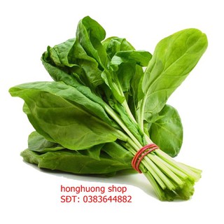 Hạt giống cải bó xôi