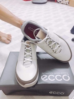 Giầy golf Ecco hàng đẹp