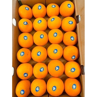 Quýt Úc - 1kg
