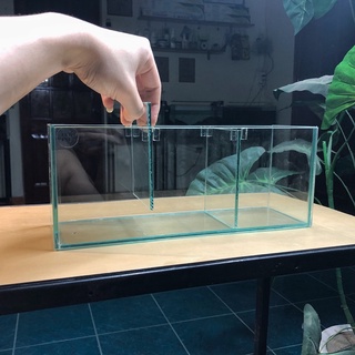 Bể Cá Betta Kích Thước 30x10x12cm Được Chia 3 Ngăn Tách Biệt | Kính Việt Nhật Dày 4mm | RF Aquarium