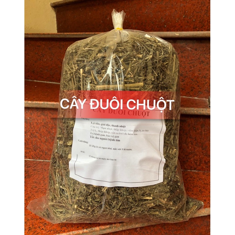 1kg cây đuôi chuột (cây mạch lạc) điều trị tiểu đường, ho, viêm tiết niệu