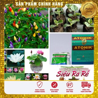 -18% COMBO TRỌN BỘ HOA QUẢ ĐẸP VIP 01