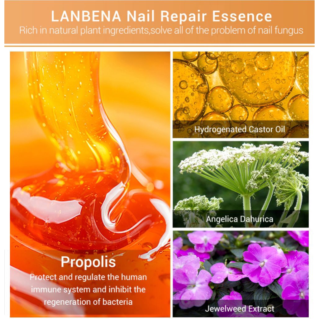 Tinh Chất Phục Hồi Móng Tay / Chân Lanbena Chiết Xuất Hoa Hướng Dương | BigBuy360 - bigbuy360.vn