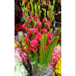 Bó 10 cành hoa dơn