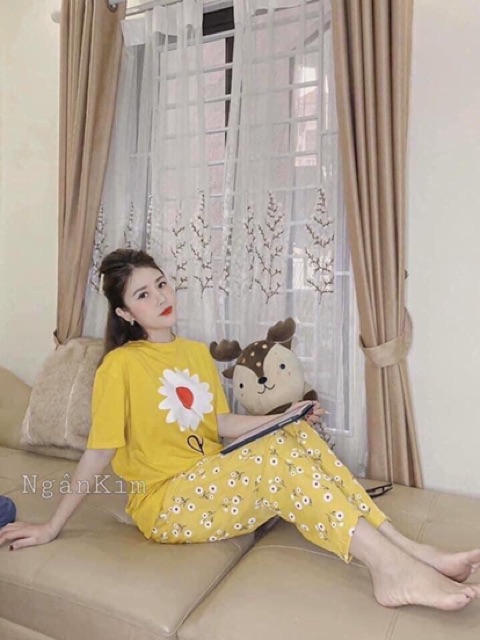 Bộ hoạt hình cotton - bộ áo cộc quần dài hoa hướng dương