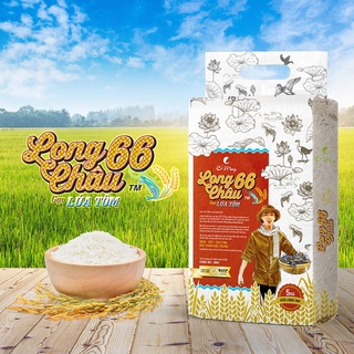 Gạo long châu 66 lúa tôm