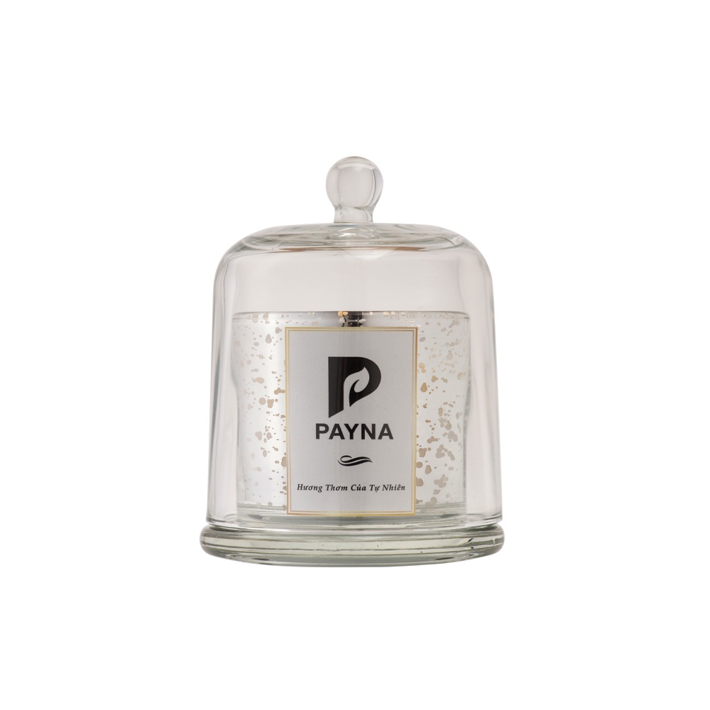 Nến Thơm Bath Body Works 1 Bấc PAYNA 250g Hương Thơm Tự Nhiên Giúp Thư Giãn Kết Hợp Trang Trí Và Khử Mùi