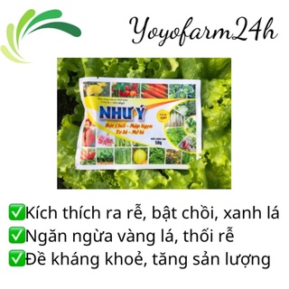 Phân bón lá NHƯ Ý kích thích ra rễ, bật chồi, xanh lá, ngăn ngừa vàng lá, thối rễ gói 50gr