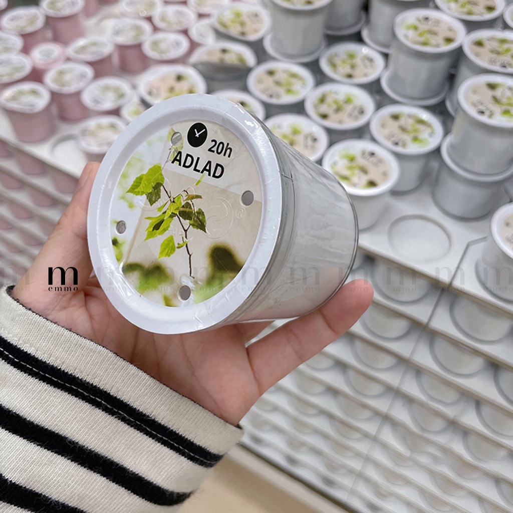 NẾN THƠM IKA CHÍNH HÃNG – ADLAD