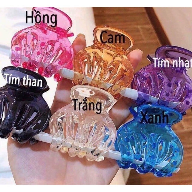 SET KẸP CÀNG CUA THÁI LAN SIÊU HOT SET 6 CÁI HÀNG CHUẨN THÁI