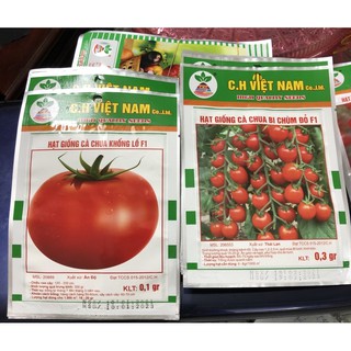 Hạt giống Cà Chua F1 🌱