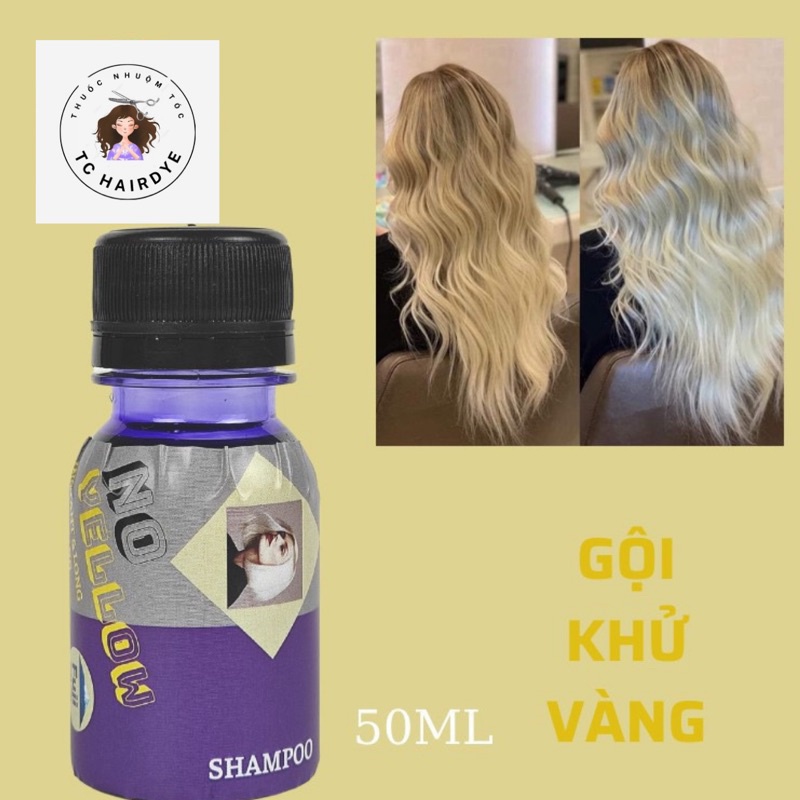 Dầu Gội Khử Vàng Fuji Color Mini Dùng Tại Nhà 50/100ml