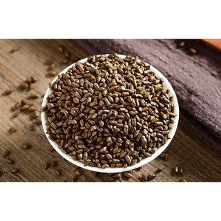 Hạt Muồng - Thảo Quyết Minh (1kg)